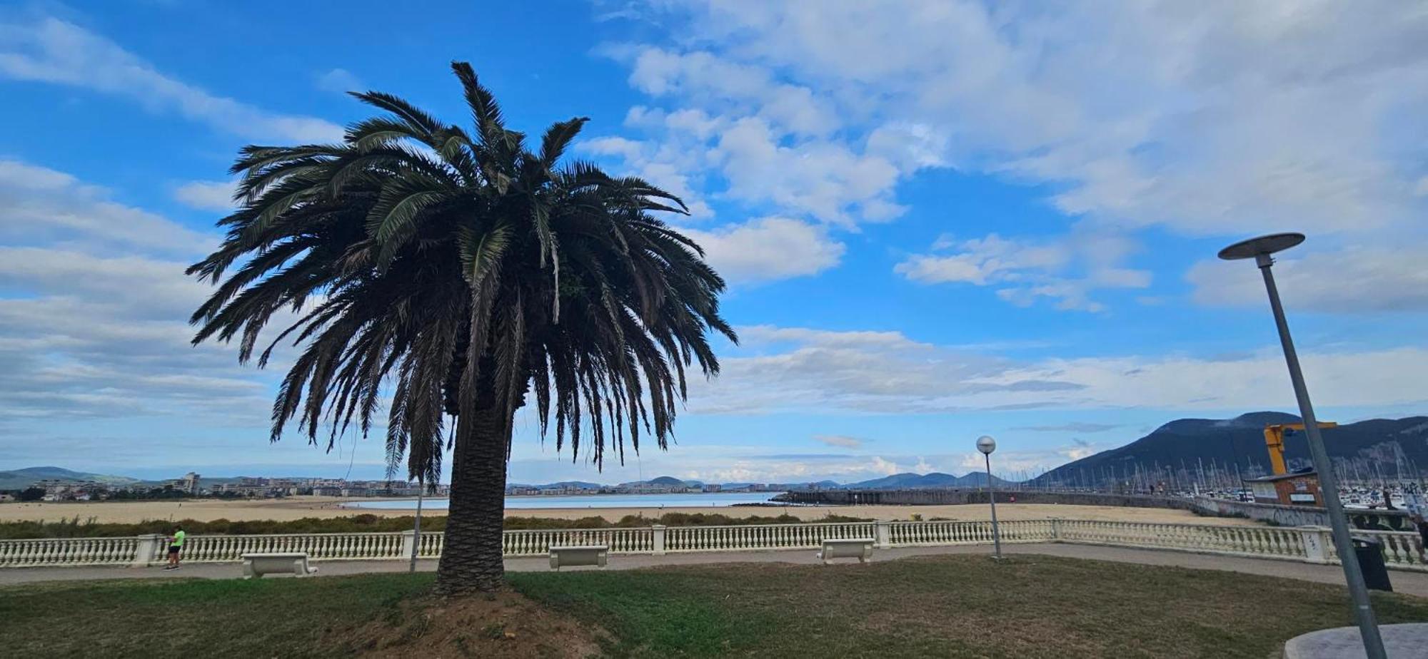 Apartamento Playa Laredoアパートメント エクステリア 写真